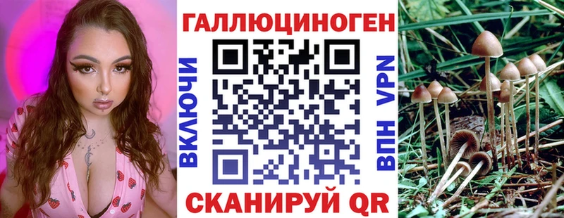 Псилоцибиновые грибы прущие грибы где купить наркоту Оханск